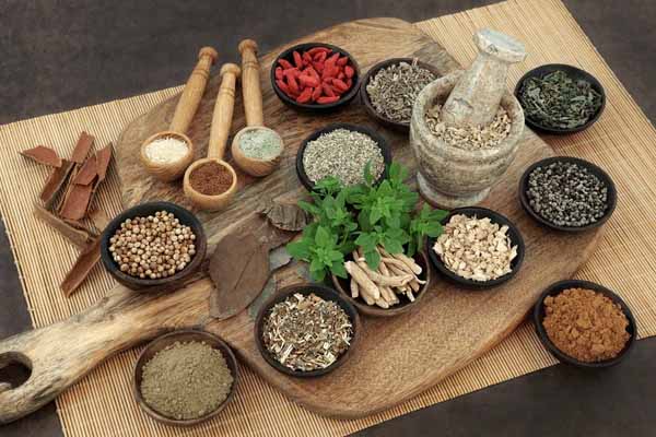 गैर-संहिताबद्ध पारंपरिक उपचार प्रणालियों को बचाने होगा मंथन