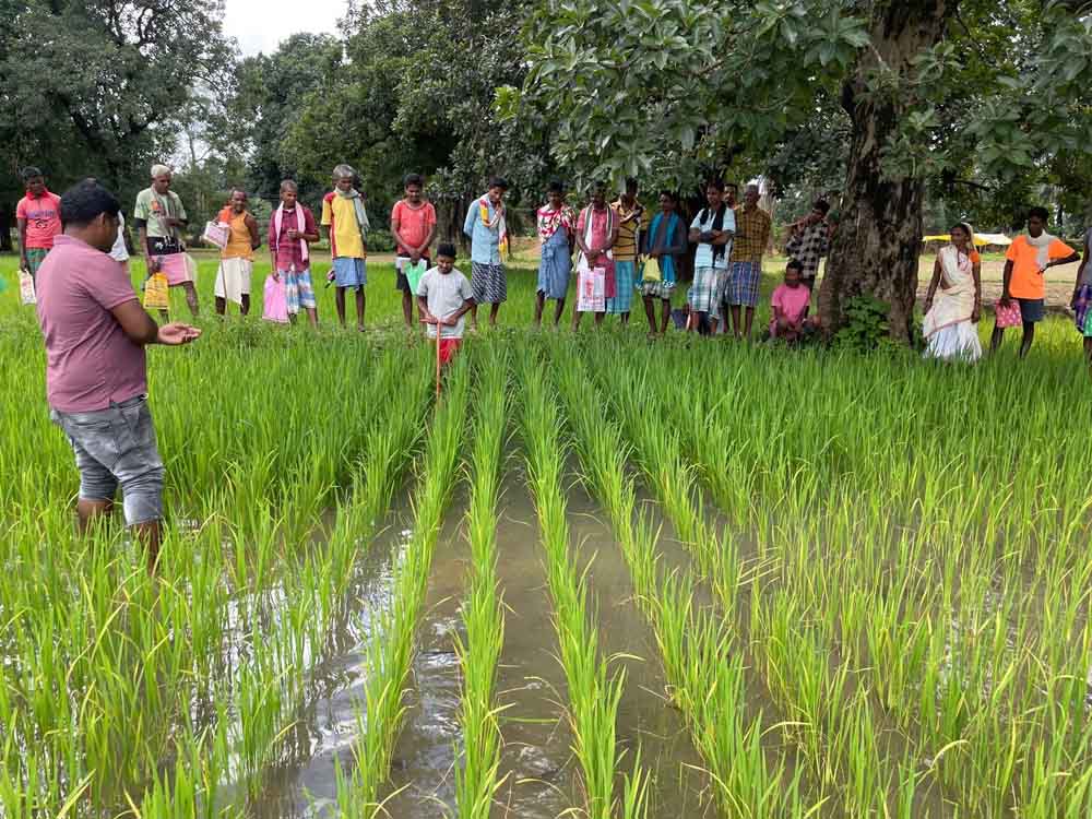 छत्तीसगढ़-रायपुर में ’’जैविक कृषक खेत पाठशाला’’ में किसान सीख रहे जैविक खेती