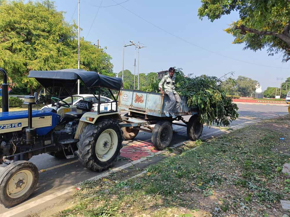 15वीं विधानसभा के गठन पर PM के स्वागत के लिए युद्ध स्तर पर तैयारियां जारी, 10 से 11 मंत्री ले सकते हैं शपथ