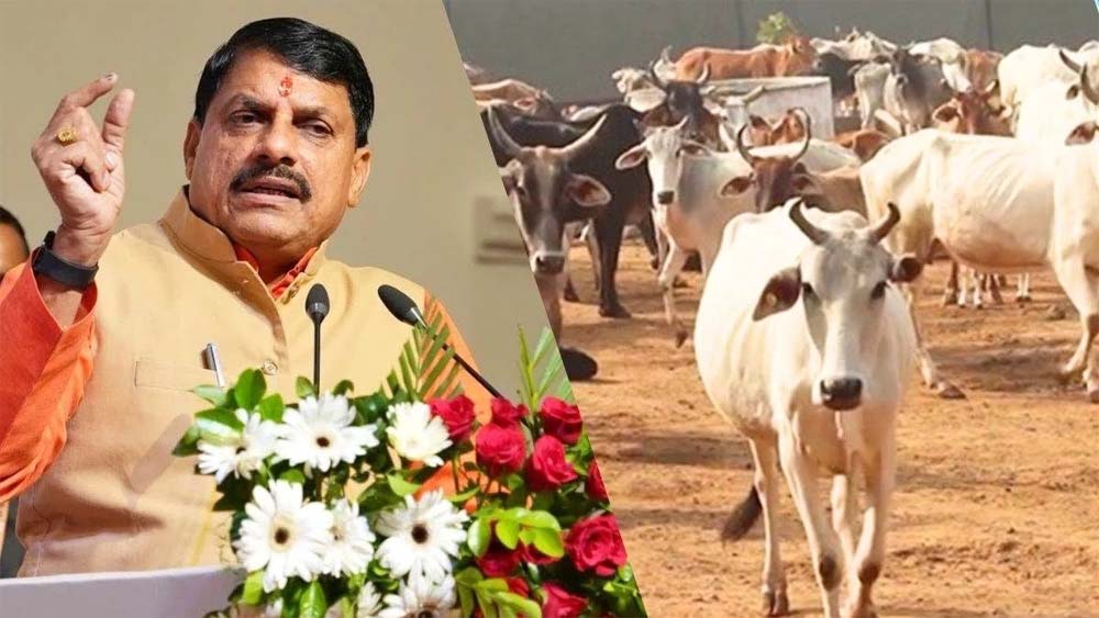 मुख्यमंत्री यादव की अध्यक्षता में हुई कैबिनेट की बैठक में अन्नदाता मिशन को दी गई स्वीकृति