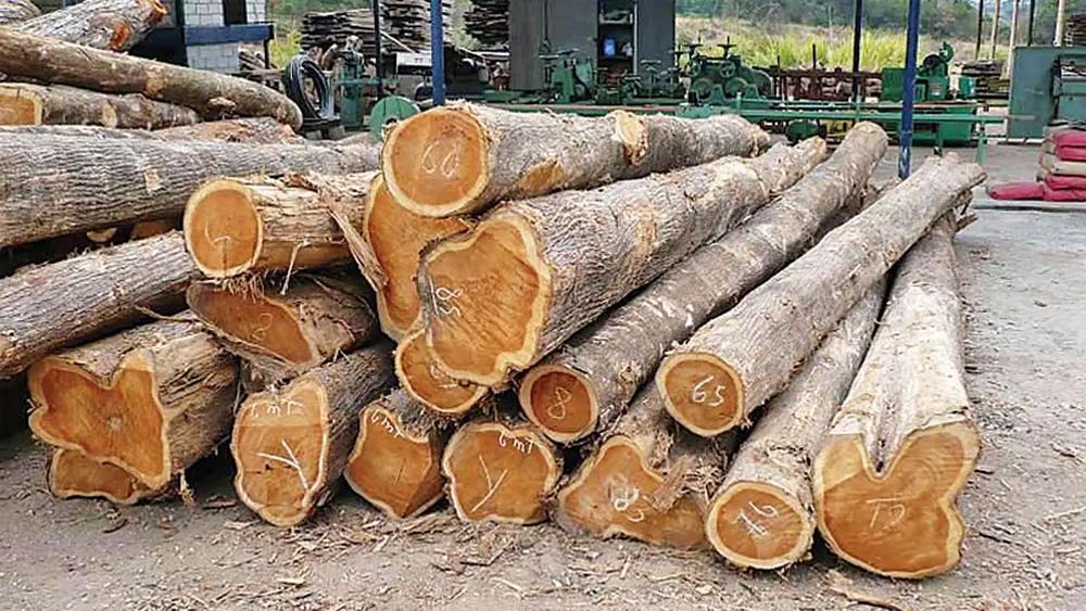 मध्यप्रदेश टिम्बर डिपो नई दिल्ली में मई माह में सागौन काष्ठ की होगी नीलामी