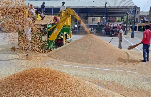 खाद्य मंत्री की सख्त हिदायत, उपार्जन कार्य में किसी भी प्रकार की लापरवाही बर्दाश्त नहीं की जाएगी